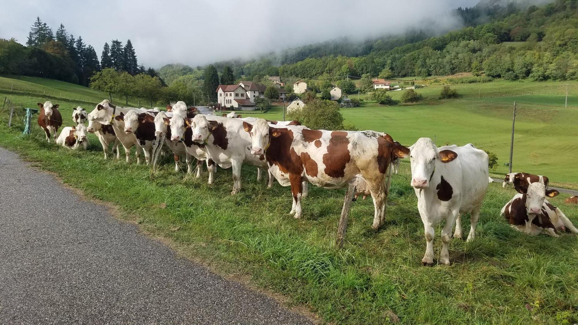 Un Pied Devant L'Autre Sainte-Marie-D'Alvey Esterno foto