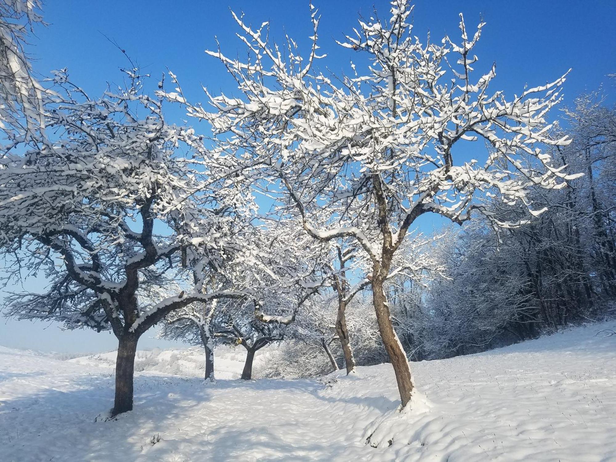 Un Pied Devant L'Autre Sainte-Marie-D'Alvey Esterno foto